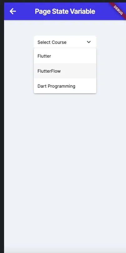 Page state variable output flutterflow